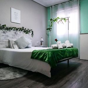 Apartamento de 3 Dormitorios